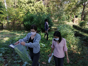 phrae 14122564 5