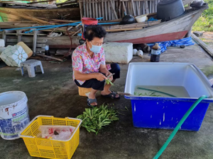 phuket07 08122564 12